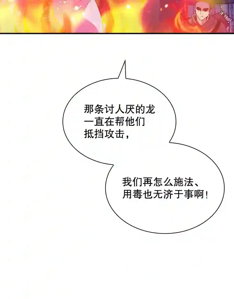 31.新江楠精英62