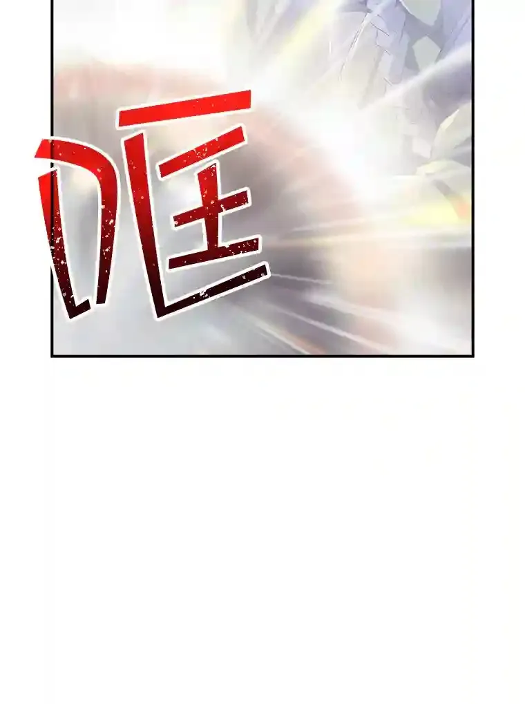 20.雷康鸡17