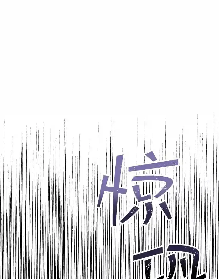 31.新江楠精英52