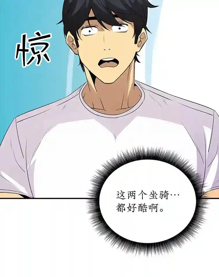 25.爱德拉安84