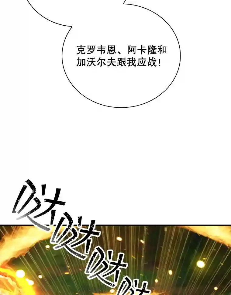 20.雷康鸡123