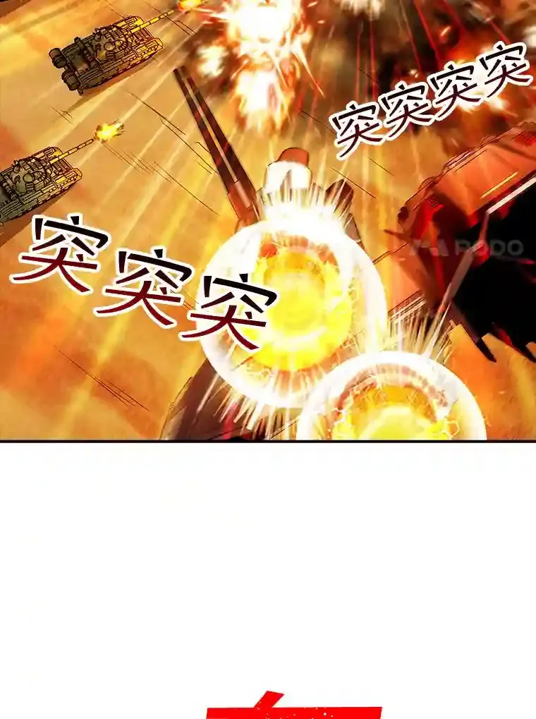 20.雷康鸡13