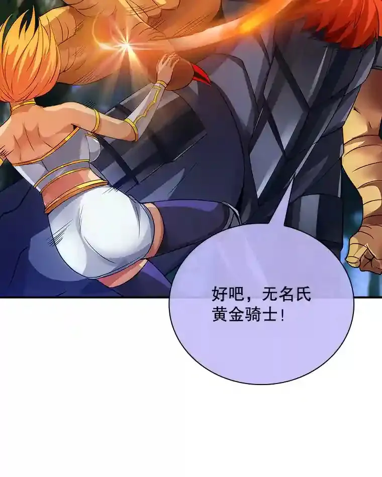 20.雷康鸡106