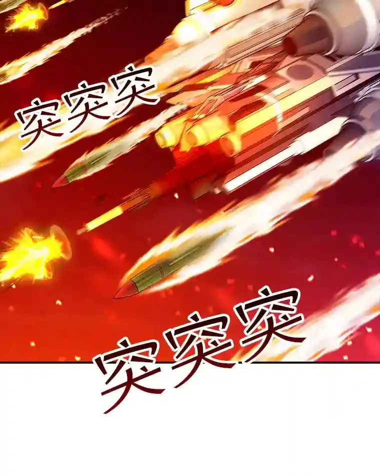 20.雷康鸡11
