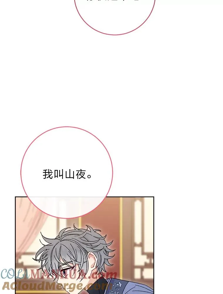 14.我的小“影子”48