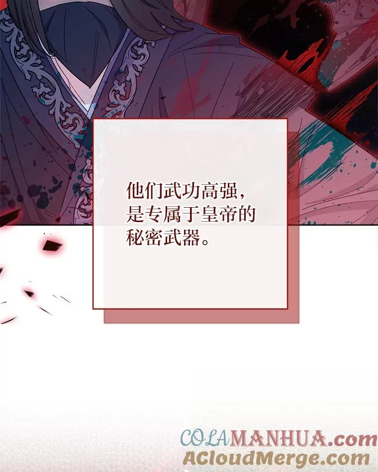 14.我的小“影子”12