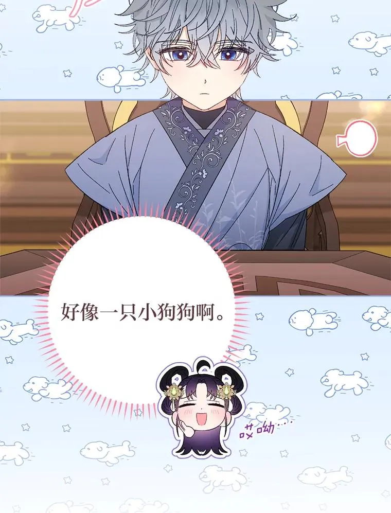 14.我的小“影子”54