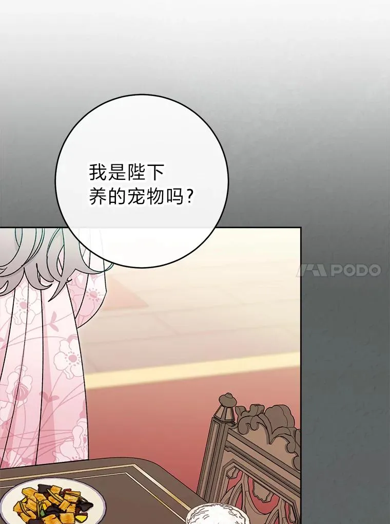 53.被饲养的宠物98