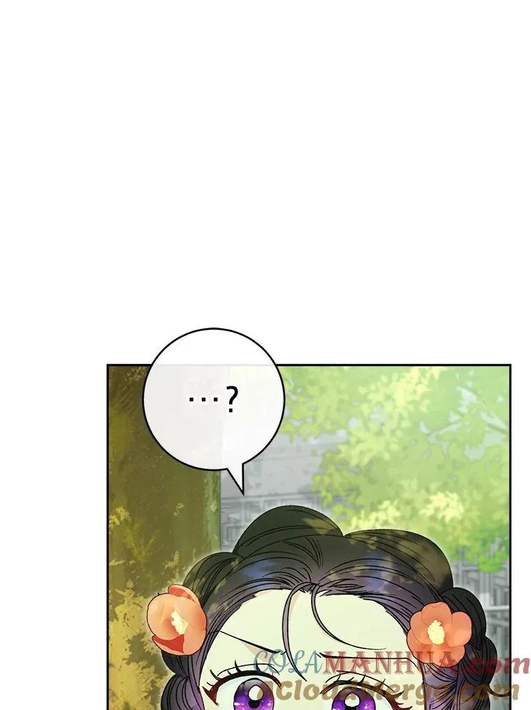 27.小嫔妃的大烦恼12