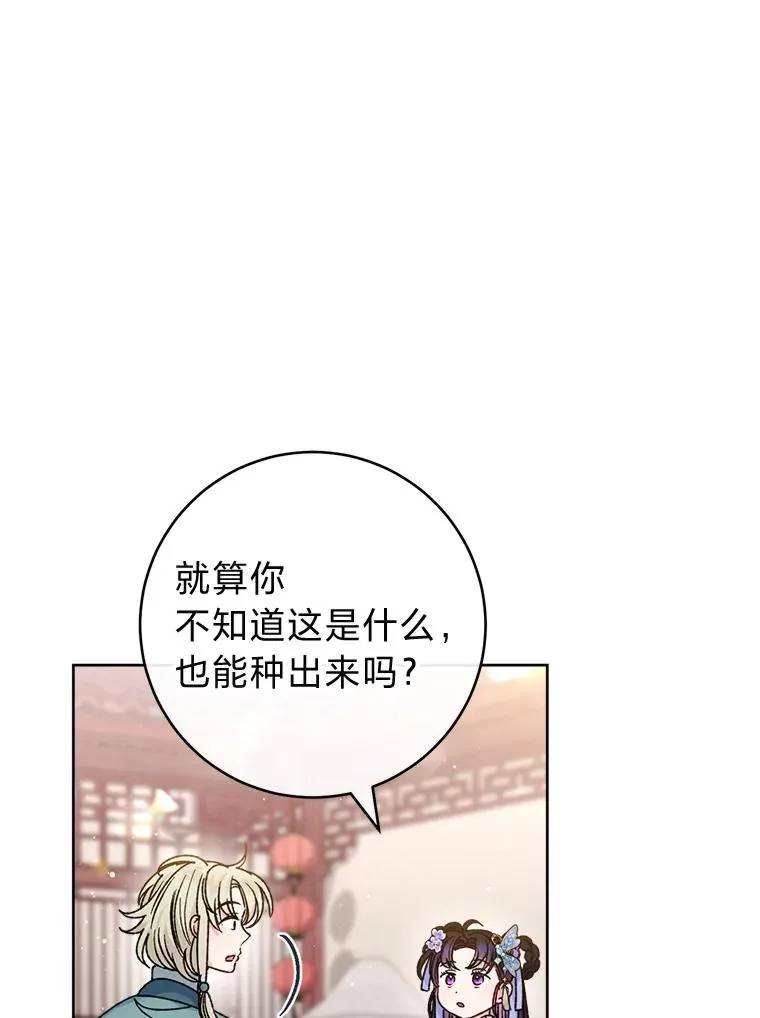 44.阿霞的另一面45