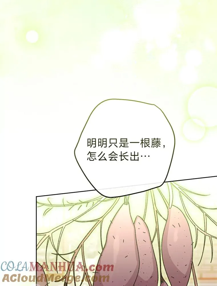 44.阿霞的另一面72
