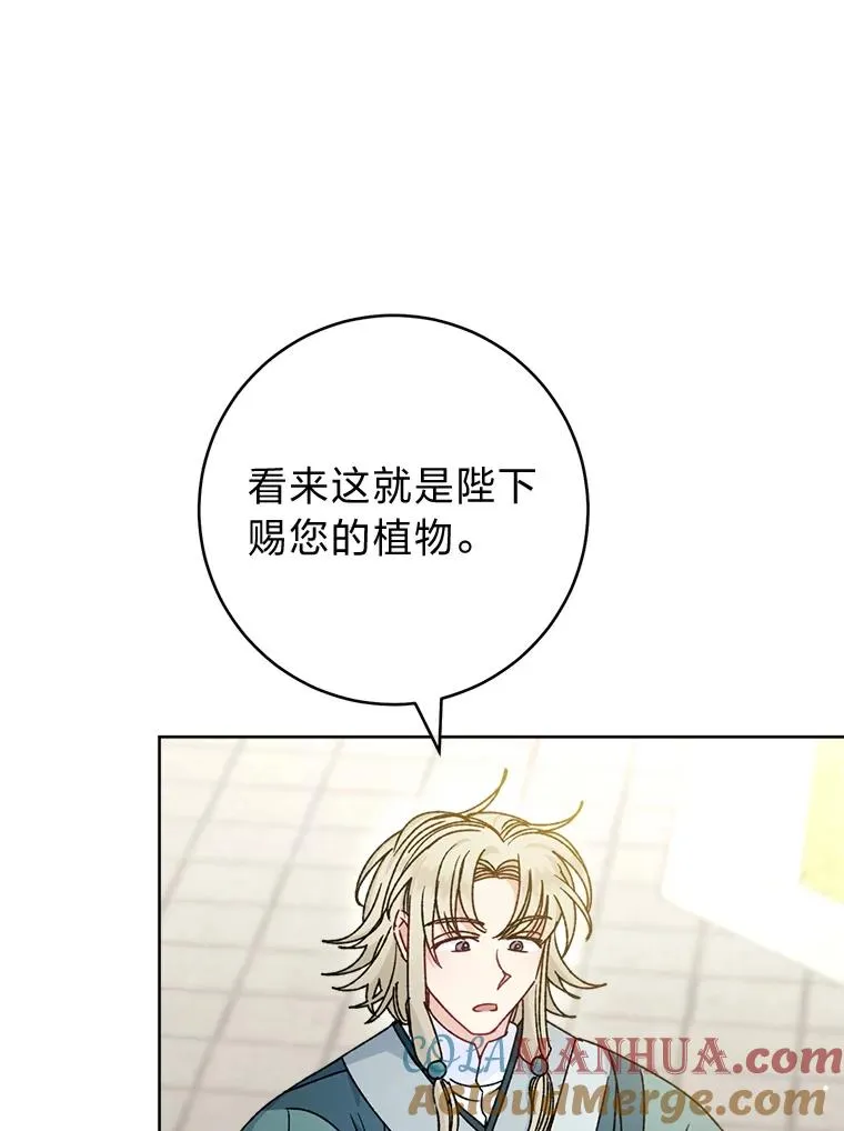 44.阿霞的另一面48