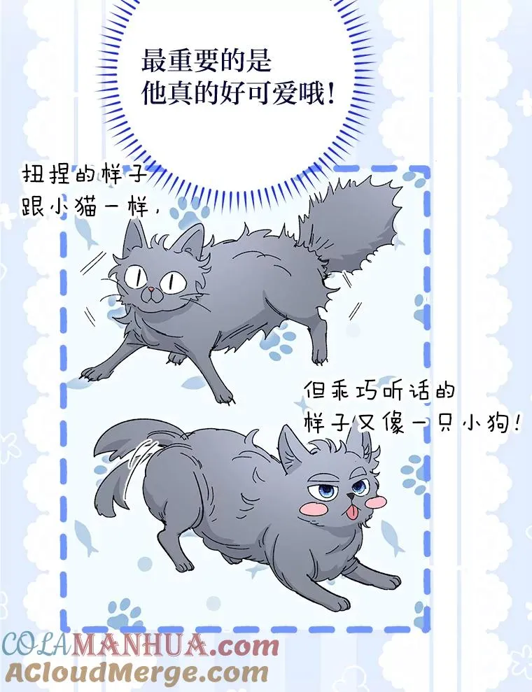 14.我的小“影子”144