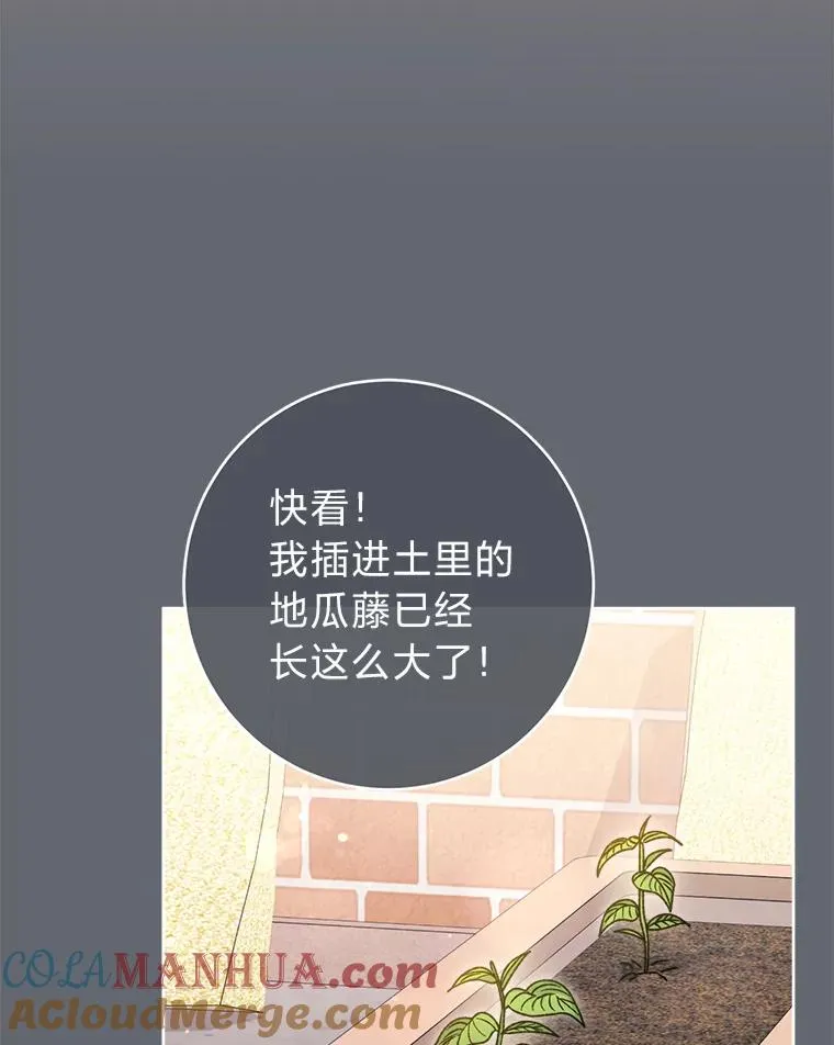 44.阿霞的另一面84
