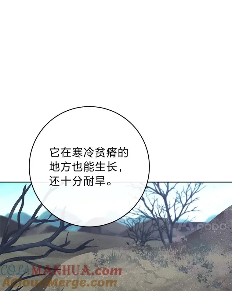 44.阿霞的另一面76