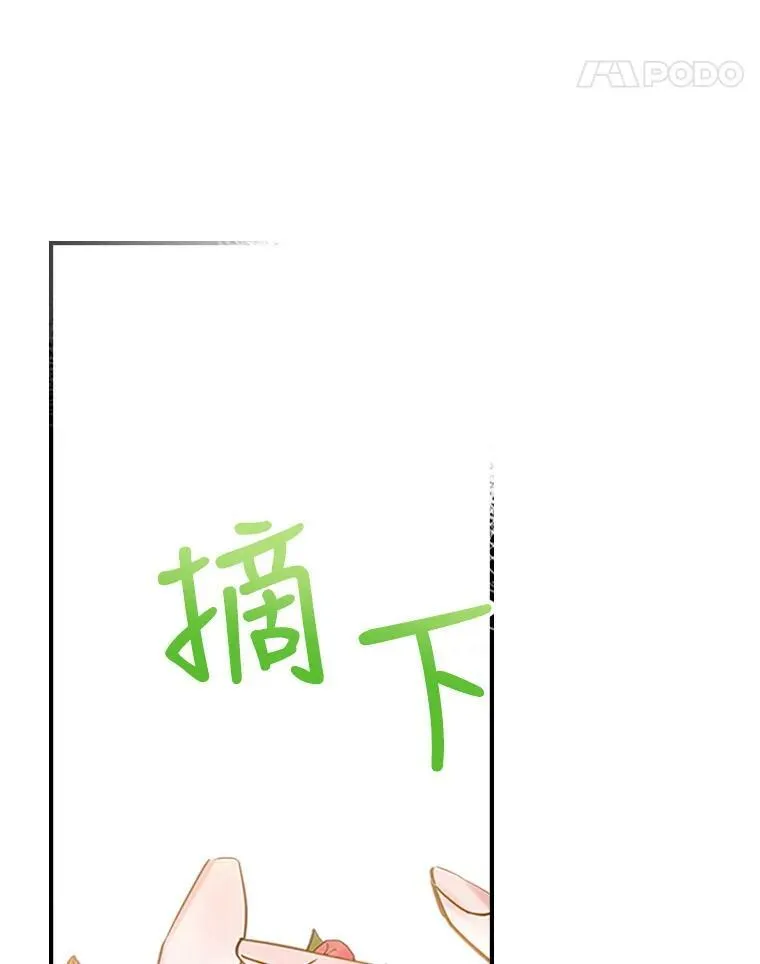 27.花环10