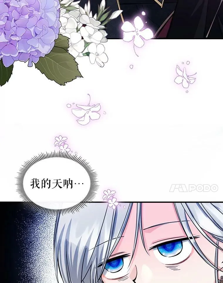 21.生日礼物13