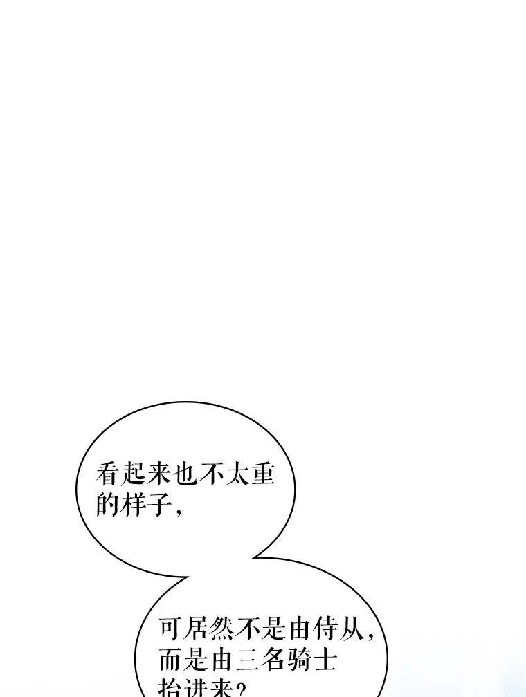 43.皮革和纹样28
