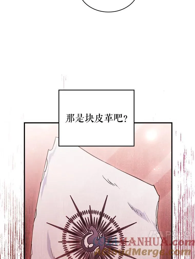 43.皮革和纹样30