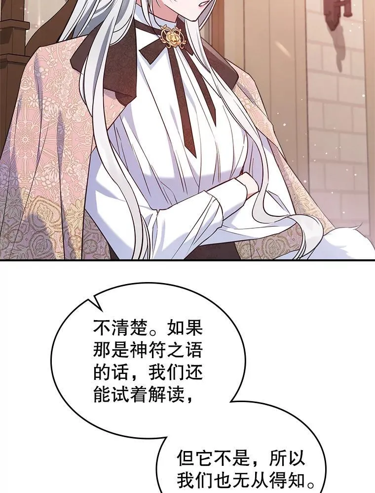 43.皮革和纹样62