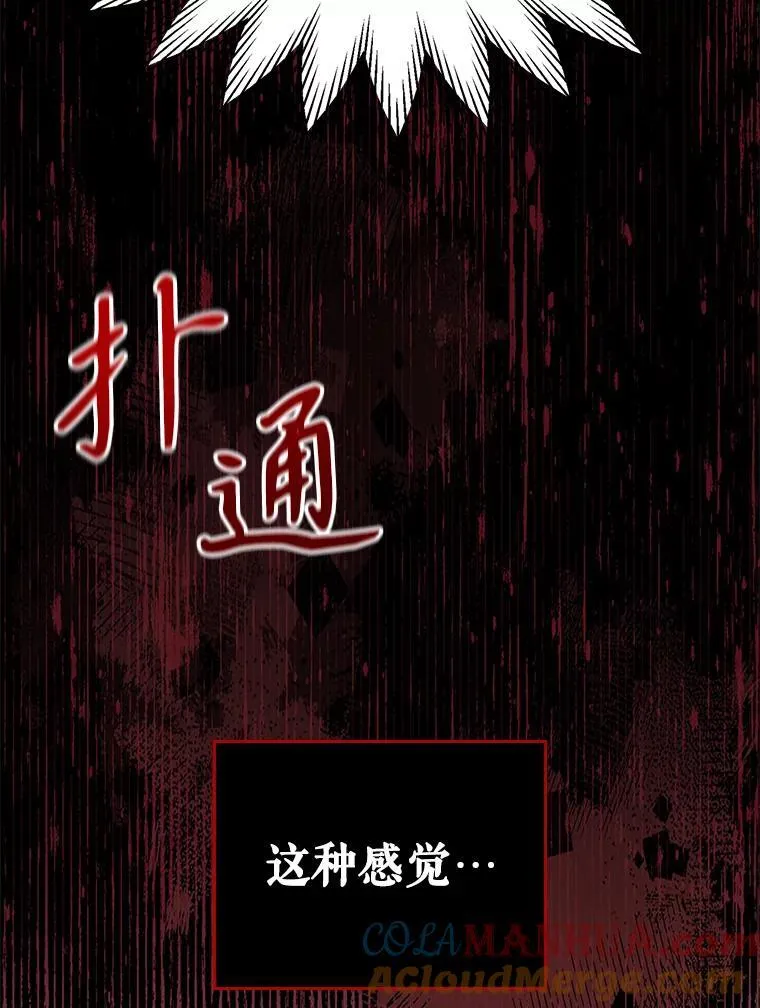 43.皮革和纹样33