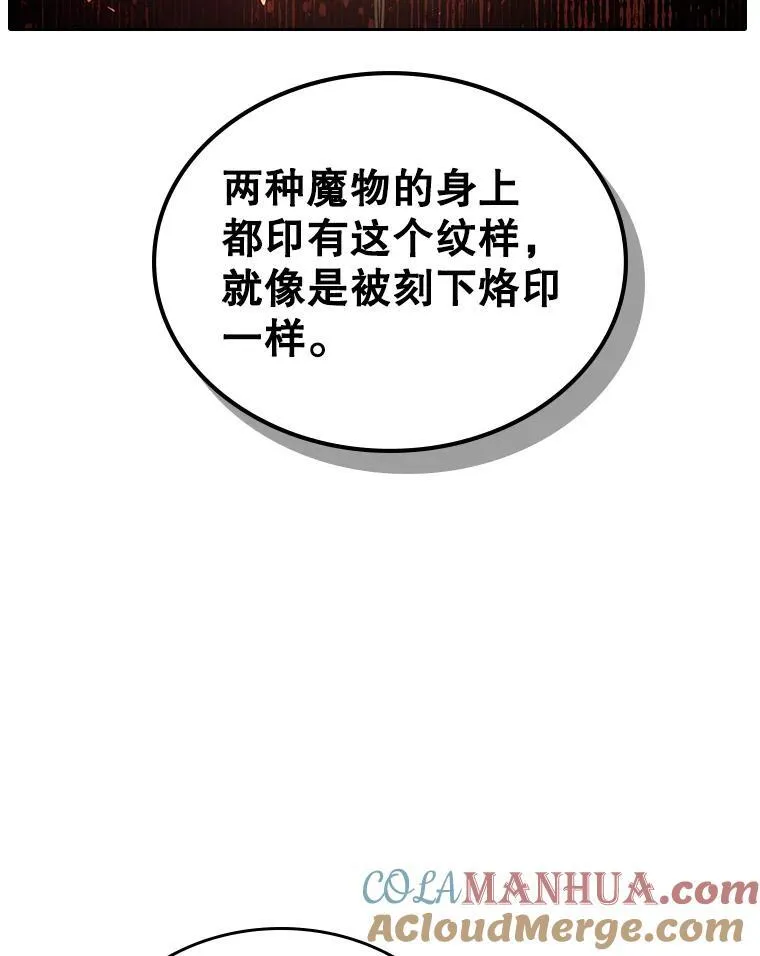 43.皮革和纹样48
