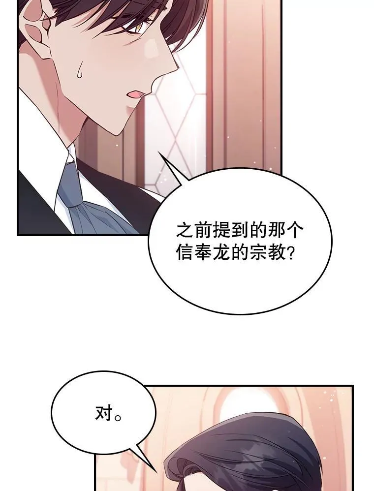 43.皮革和纹样58