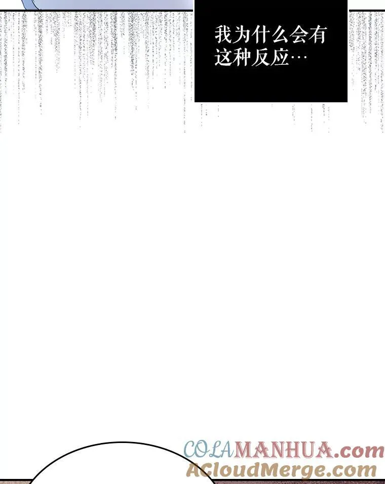 43.皮革和纹样42