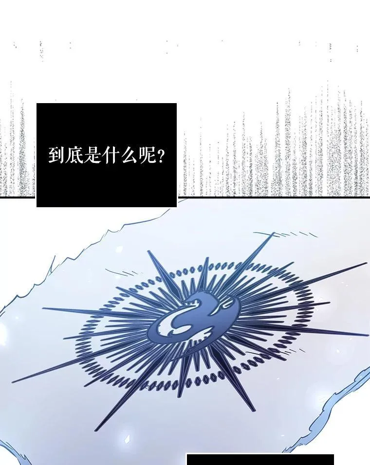 43.皮革和纹样41