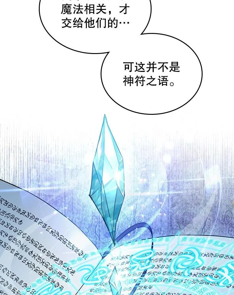 43.皮革和纹样53