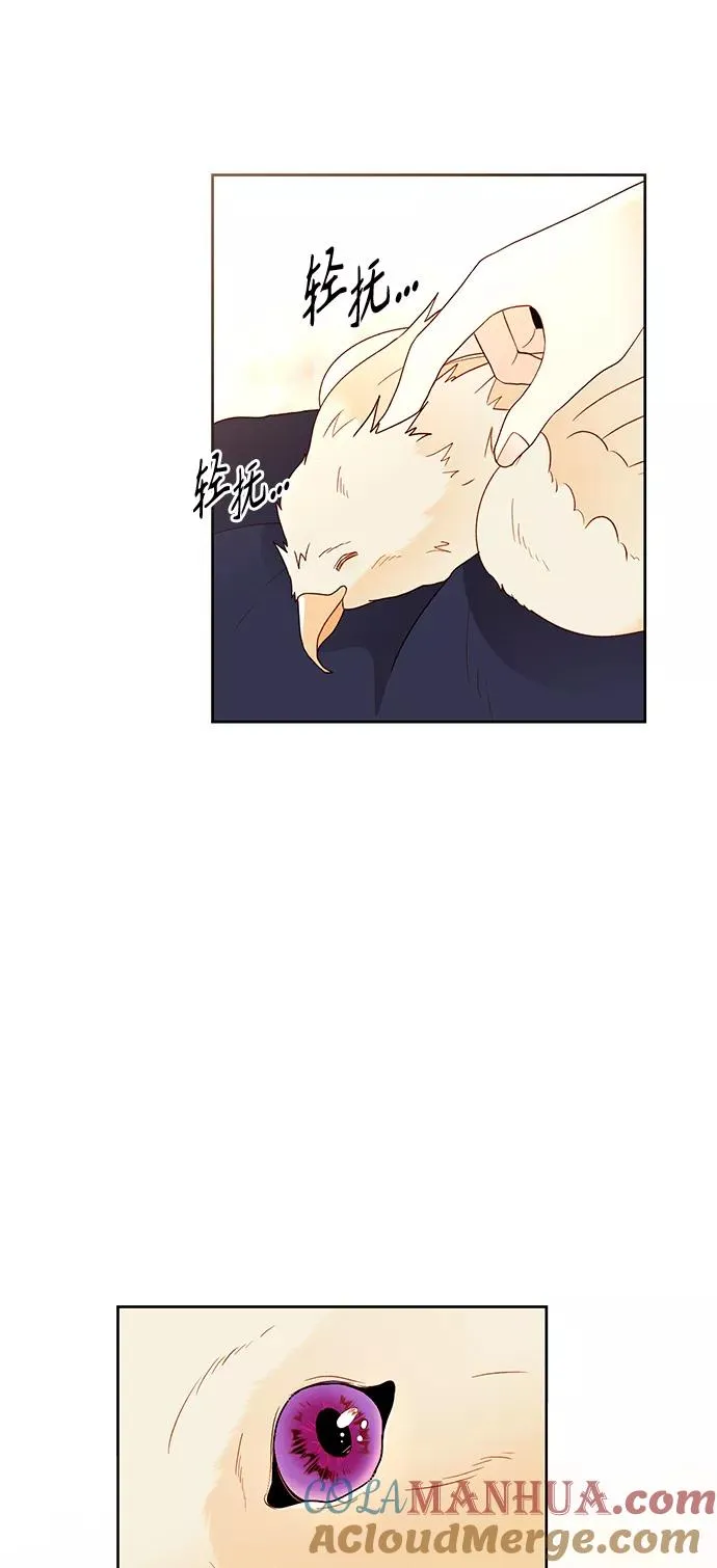 第78话3