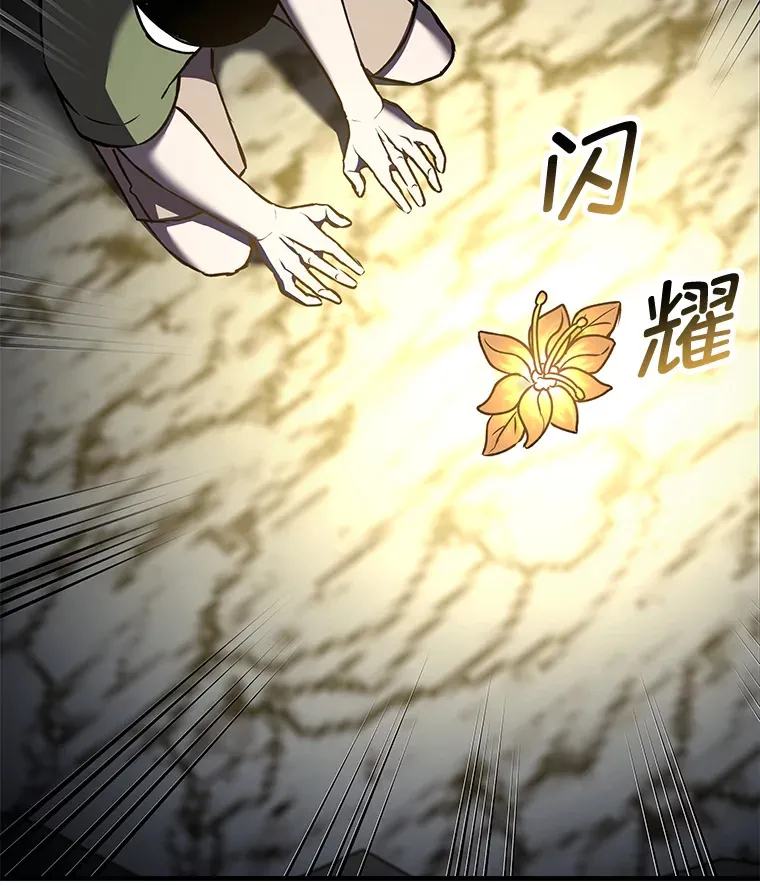 11.铜灵花67