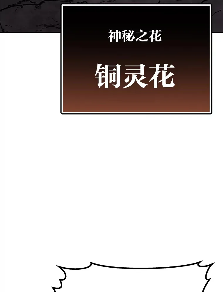 11.铜灵花60