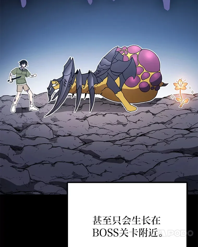 11.铜灵花79