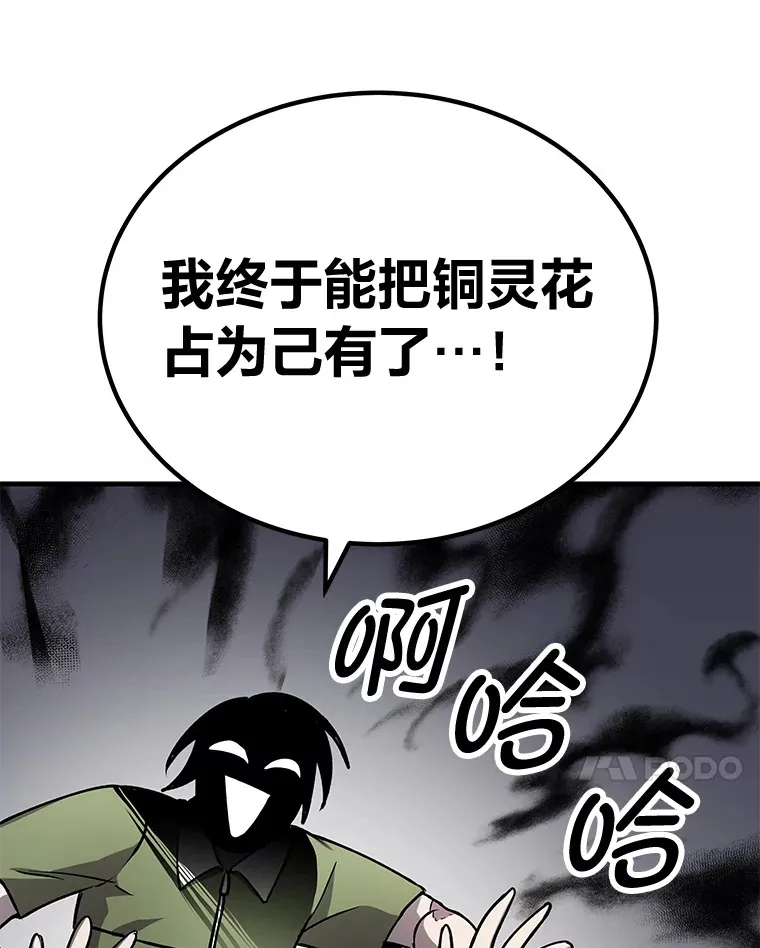 11.铜灵花144