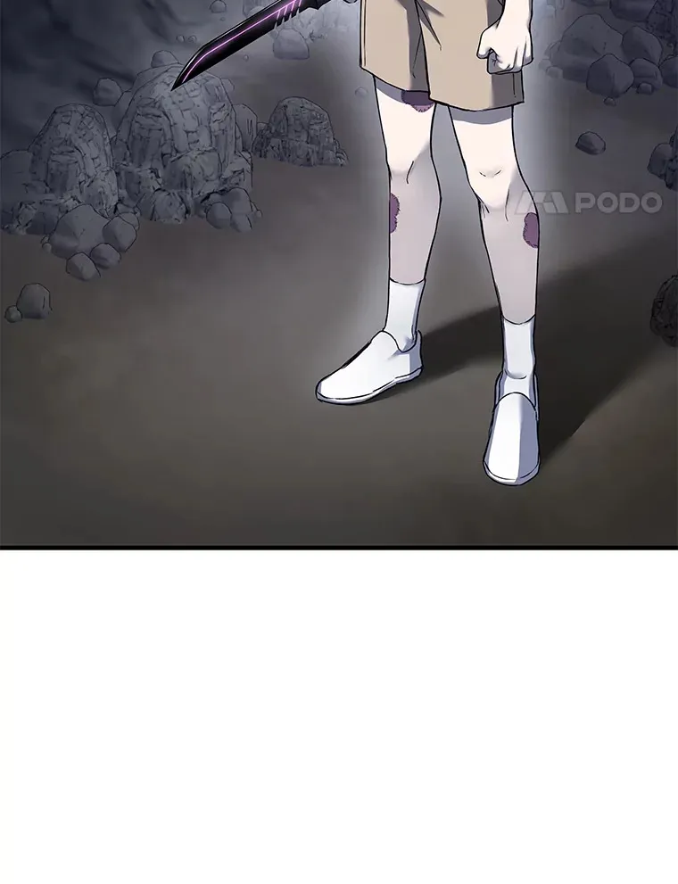 11.铜灵花104
