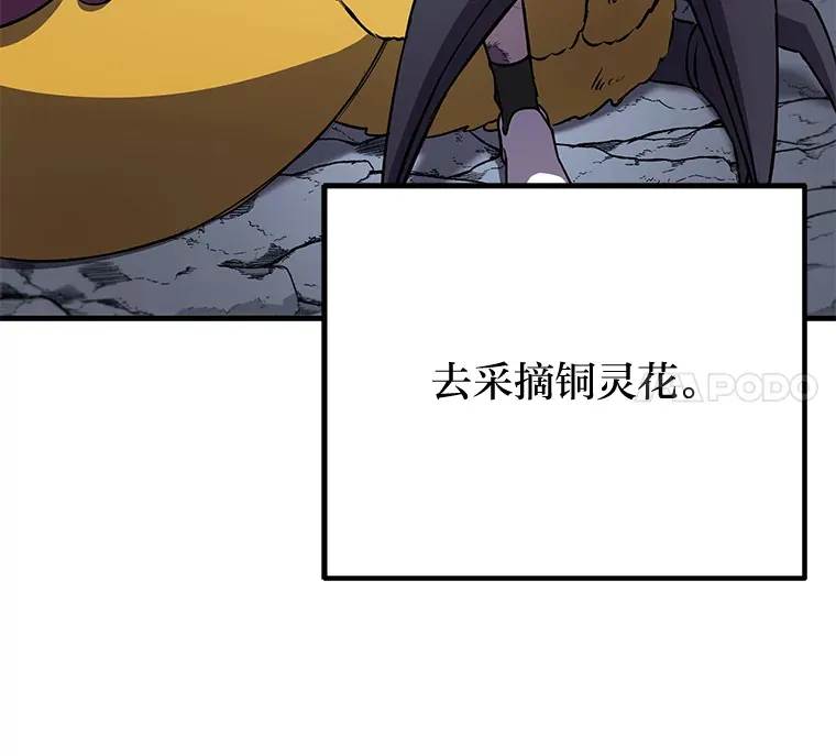 11.铜灵花97