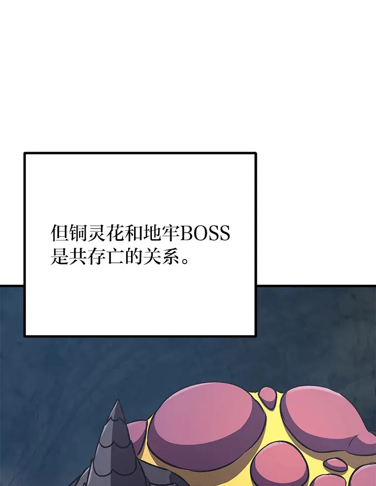 11.铜灵花92