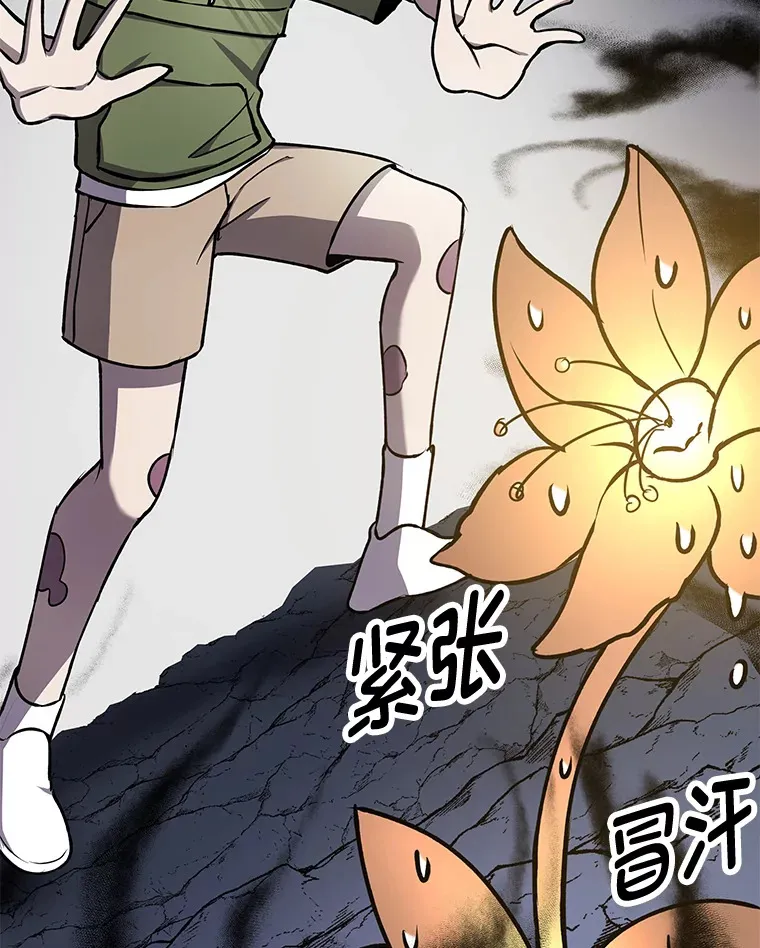 11.铜灵花145