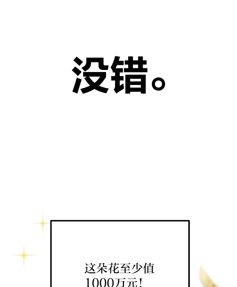 11.铜灵花70
