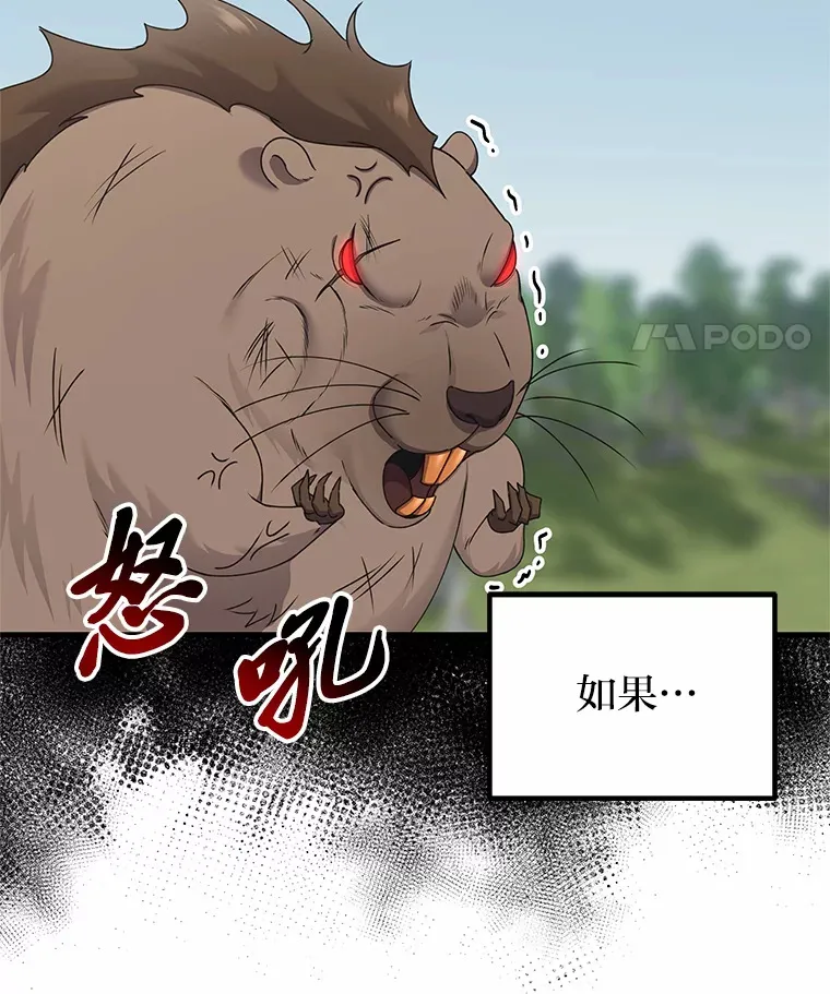 29.S级的贴心服务68