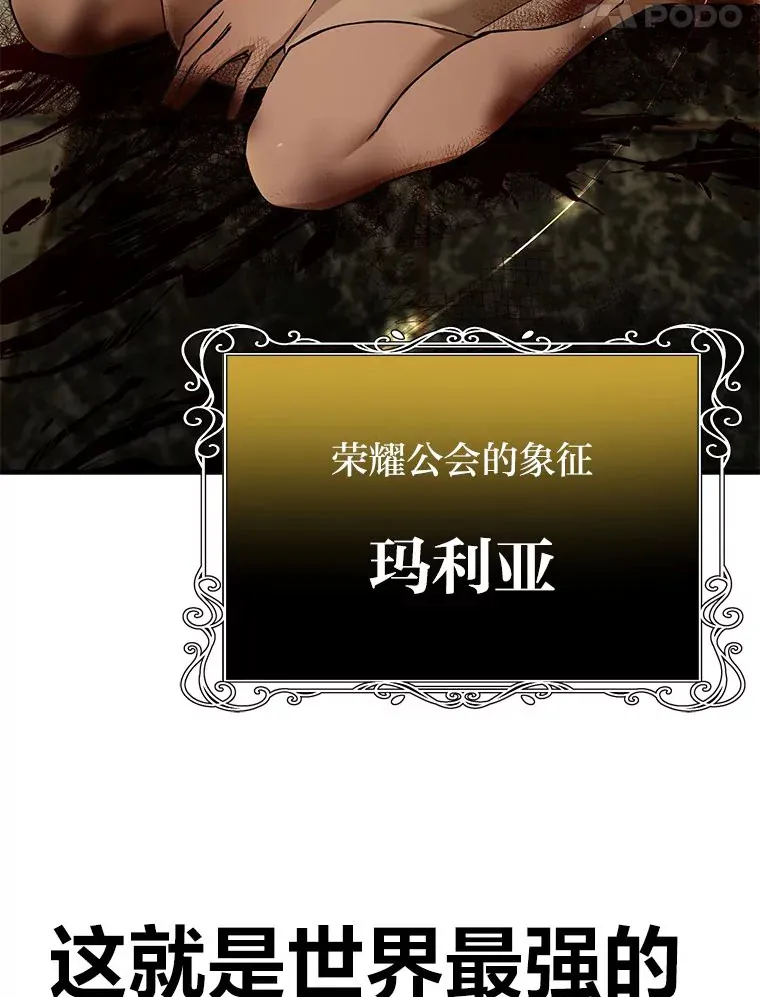 7.荣耀公会的象征156