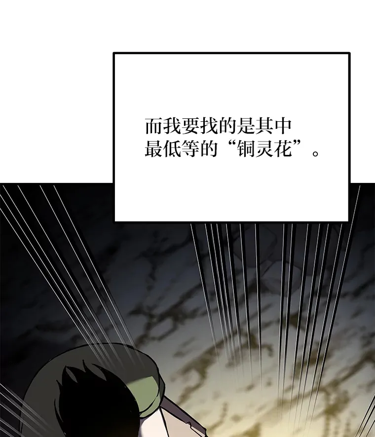 11.铜灵花66