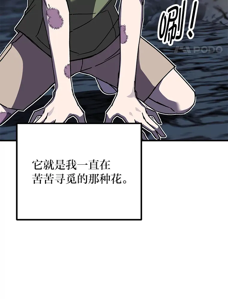 11.铜灵花62