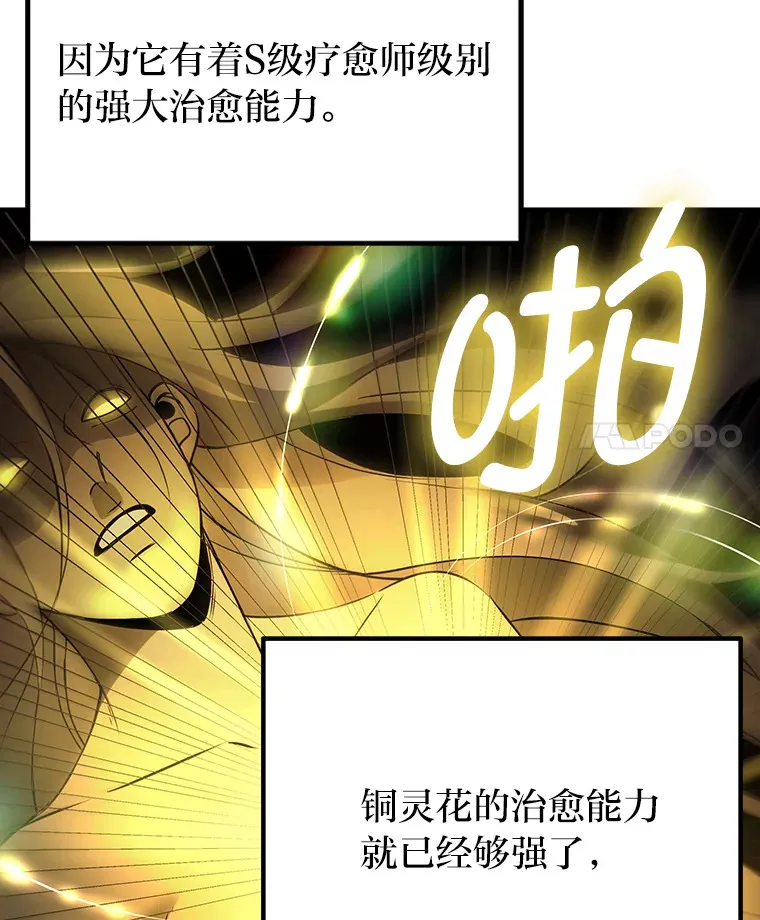 11.铜灵花76