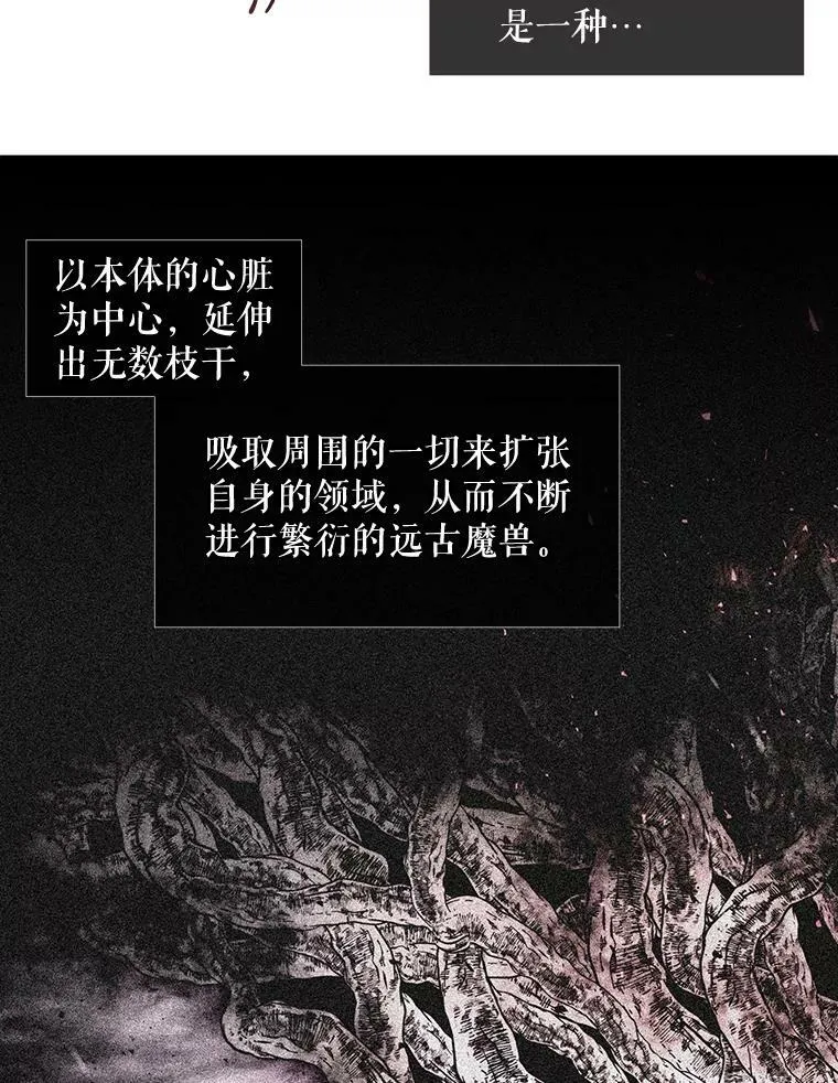 95.贝拉塞尼亚32