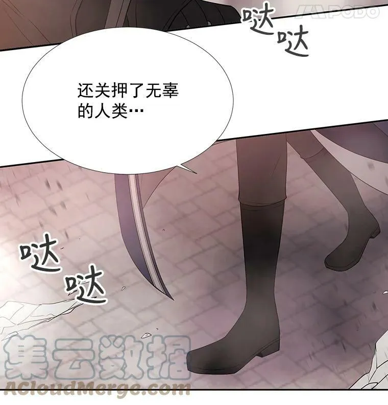 49.不明魔兽54