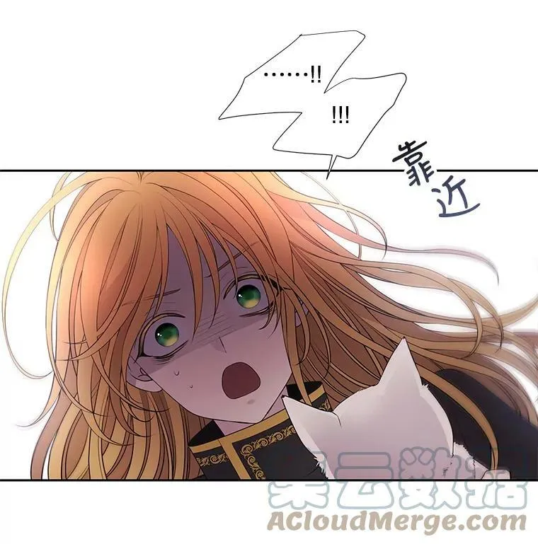 62.再见埃文15