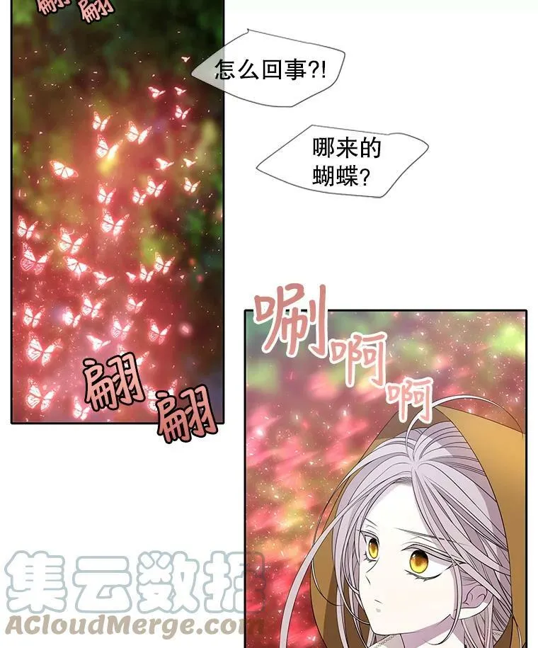 69.埃尔多现身6