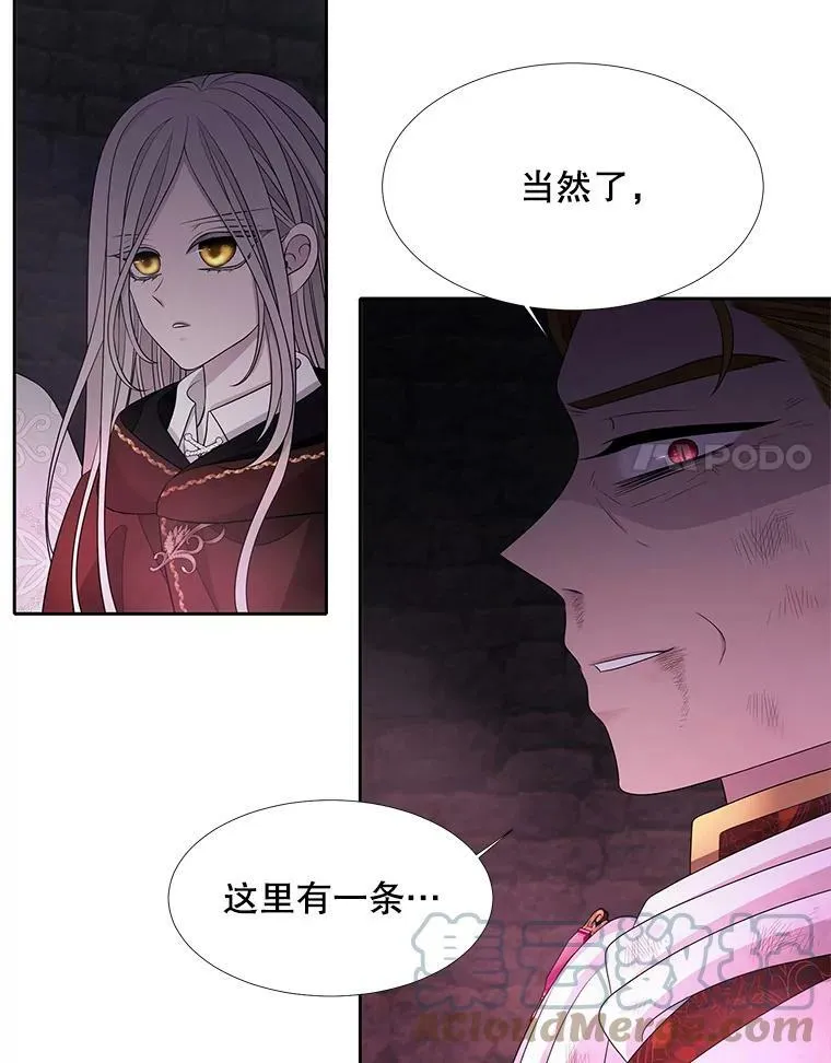 95.贝拉塞尼亚54